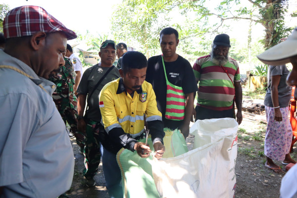 Terobosan Inovasi Pakan Sehat Dan Terjangkau : Diharapkan Dapat Membantu Peternak Babi Di Ntt