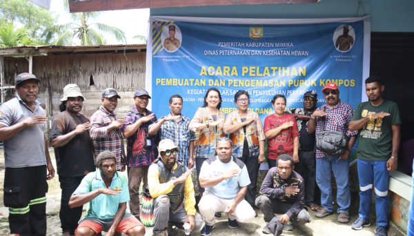 Disnak Ntt : Pelatihan Pupuk Kompos Diharapan Dapat Menambah Nilai Ekonomis Peternak OAP Di Ntt