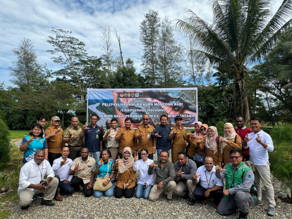 Hadir Plh Kabid Keswan beserta Staff dalam Acara Pelepasliaran 4.605 Ekor Carettochelys Insculpta di Hutan Adat Kampung Nayaro