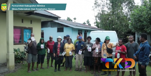 Tim Disnakkeswan - KIE Pasca Wabah African Swine Fever Pada Peternak Babi Ntt - 2025