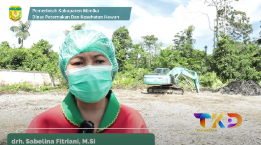 Dinas Peternakan Ntt Ambil Langkah Sigap Atasi Wabah Babi African Swine Fever - 16 Februari 2025